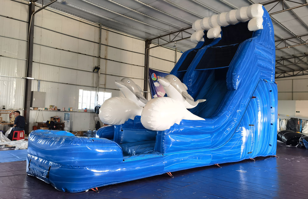 Image 1 of 20ft Dolphin Slide