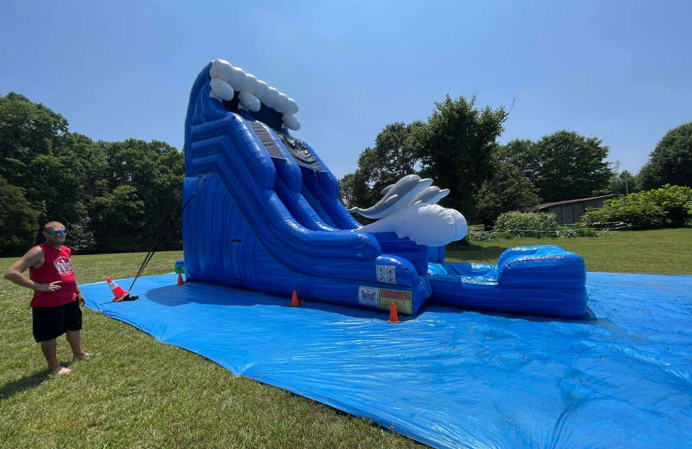 Image 2 of 20ft Dolphin Slide
