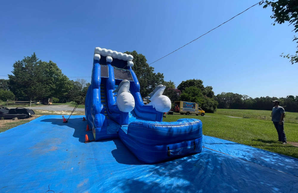 Image 3 of 20ft Dolphin Slide