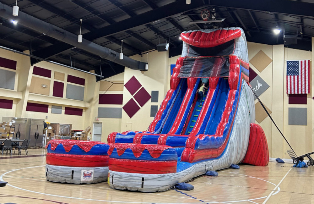 Image 2 of 27ft Dual Lane Screamer Slide