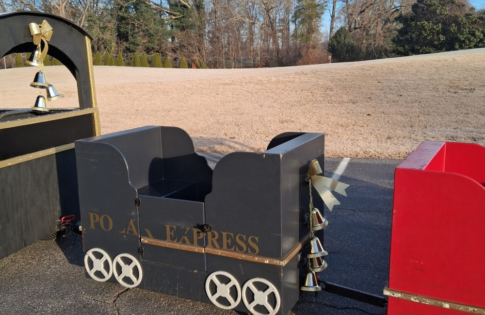 Image 8 of Trackless Train