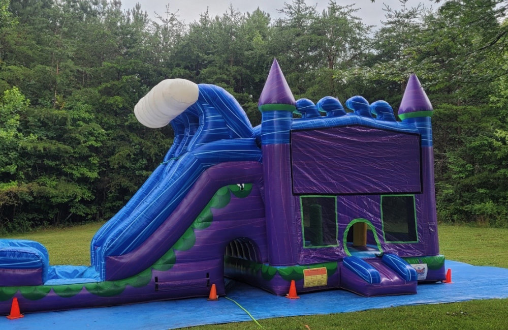 Image 6 of Themed Purple Castle Combo