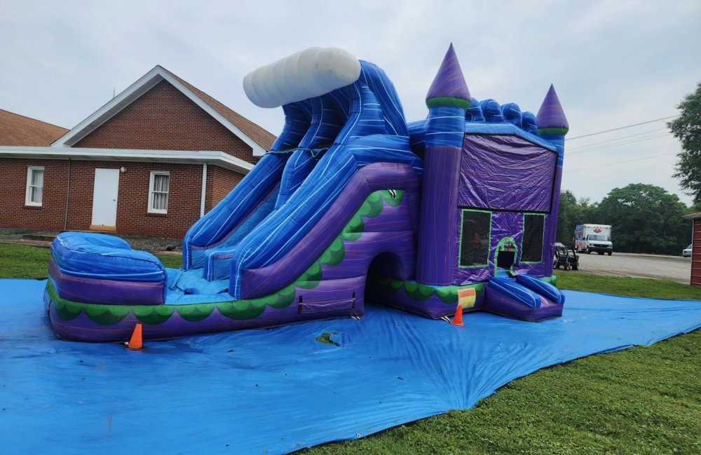 Image 7 of Themed Purple Castle Combo