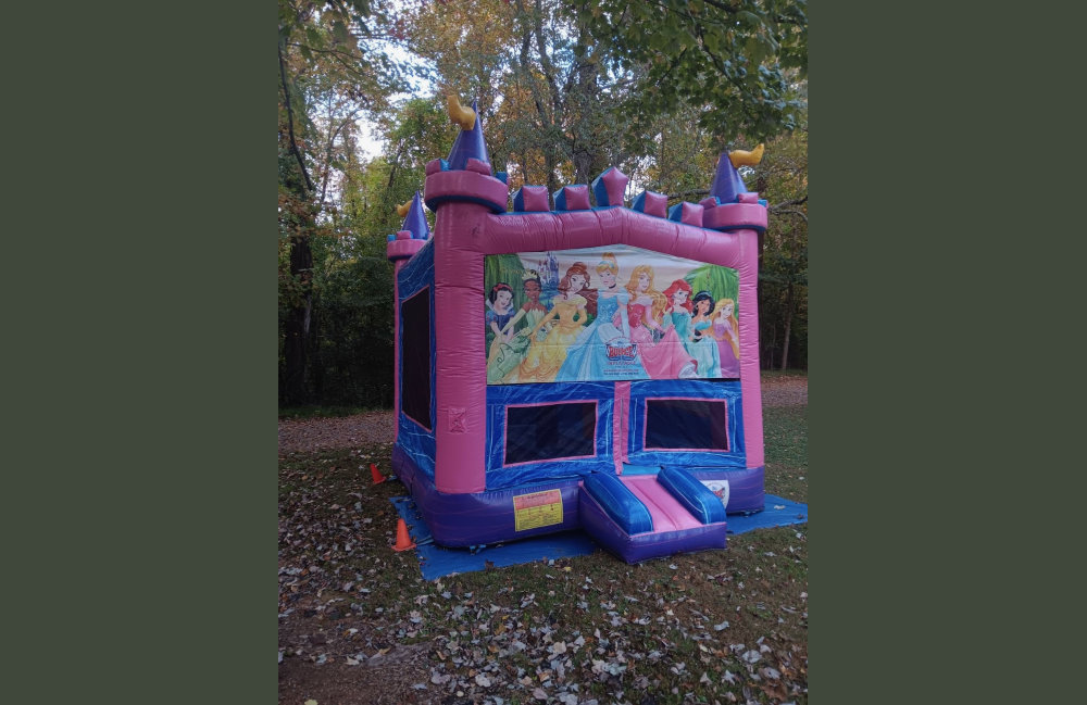 Image 2 of Themed Pink/Purple Bounce House