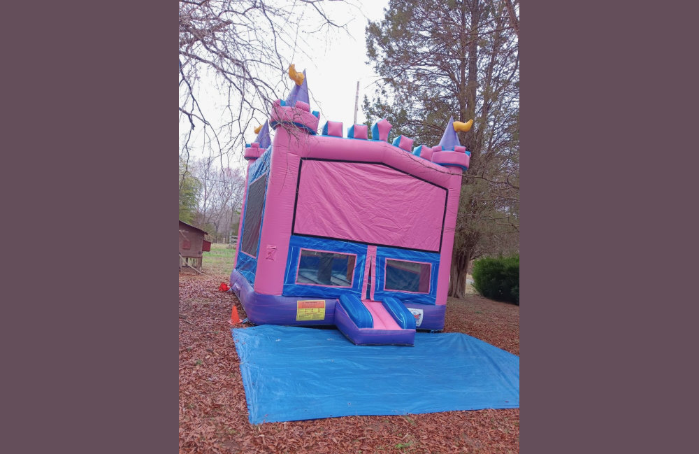 Image 6 of Themed Pink/Purple Bounce House