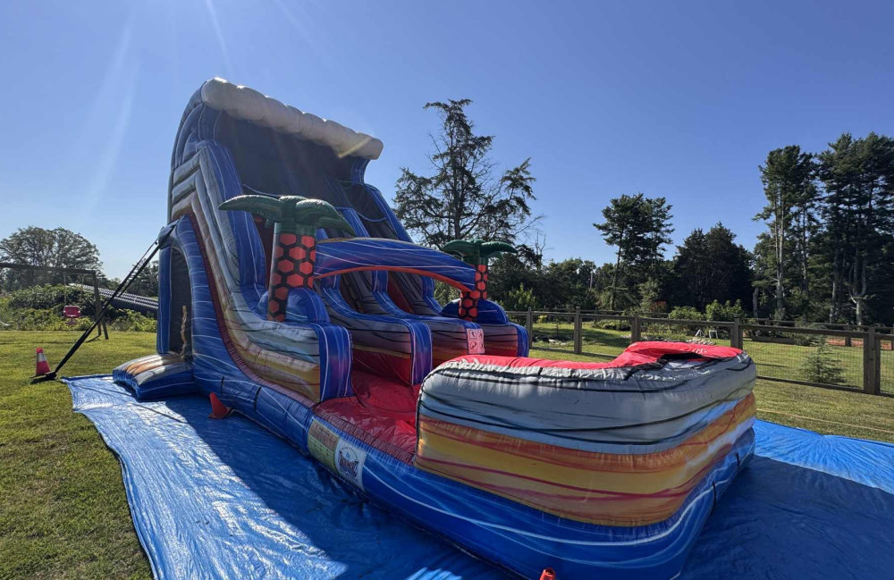 Image 5 of 20ft Dual Slide/Large Bounce House