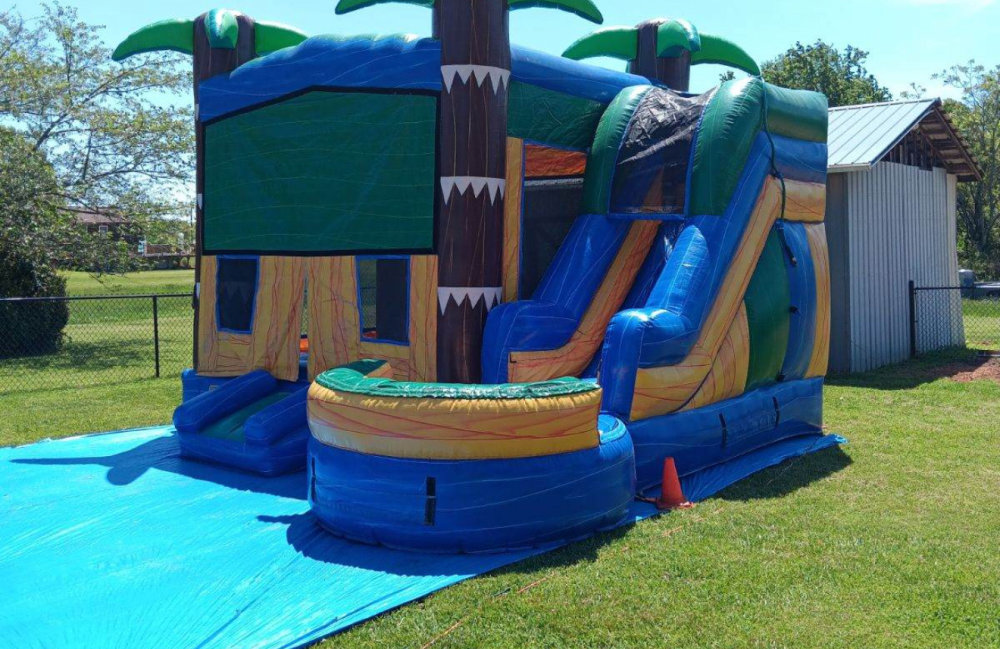 Image 7 of Themed Tropical 7-N-1 Combo