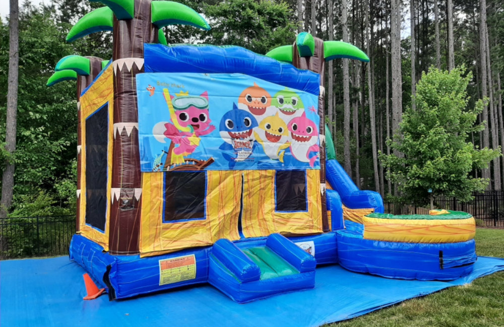 Image 8 of Themed Tropical 7-N-1 Combo