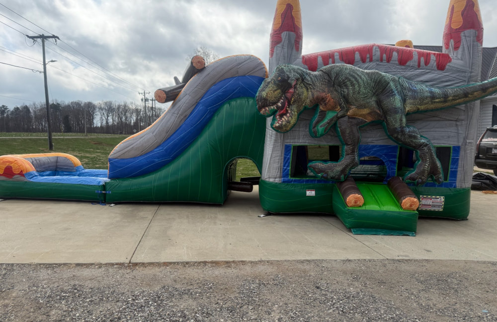 Image 1 of Dinosaur Combo