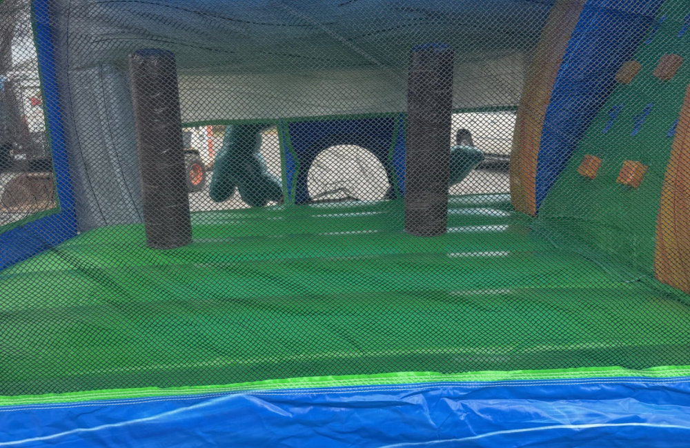 Image 2 of Dinosaur Combo