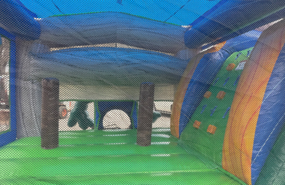 Image 3 of Dinosaur Combo