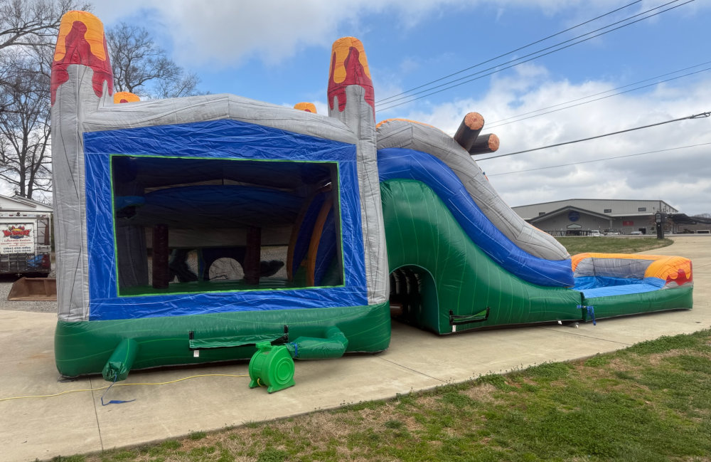 Image 4 of Dinosaur Combo