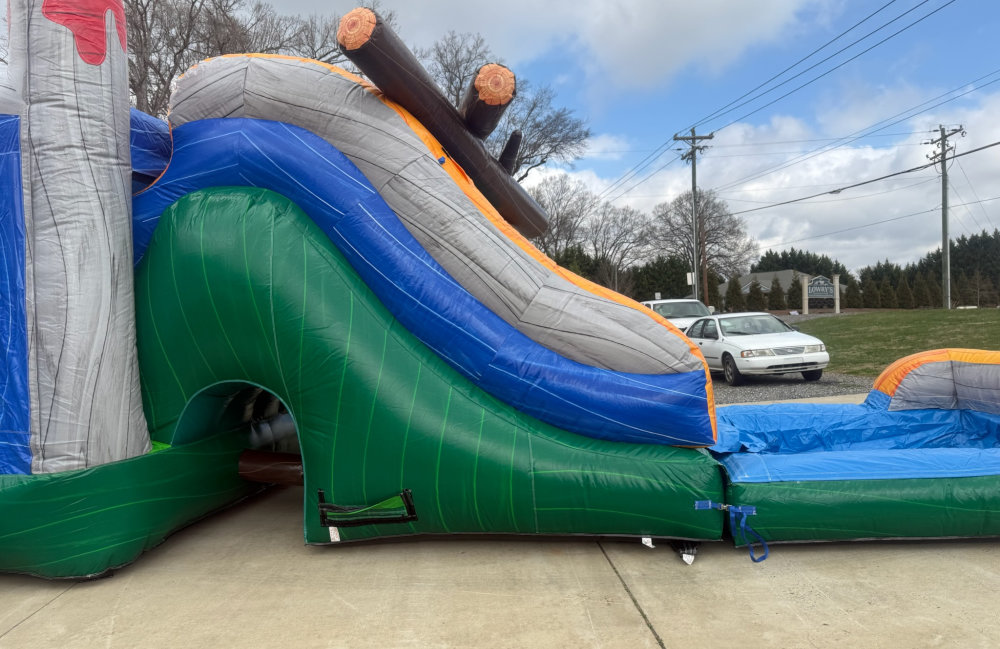 Image 5 of Dinosaur Combo