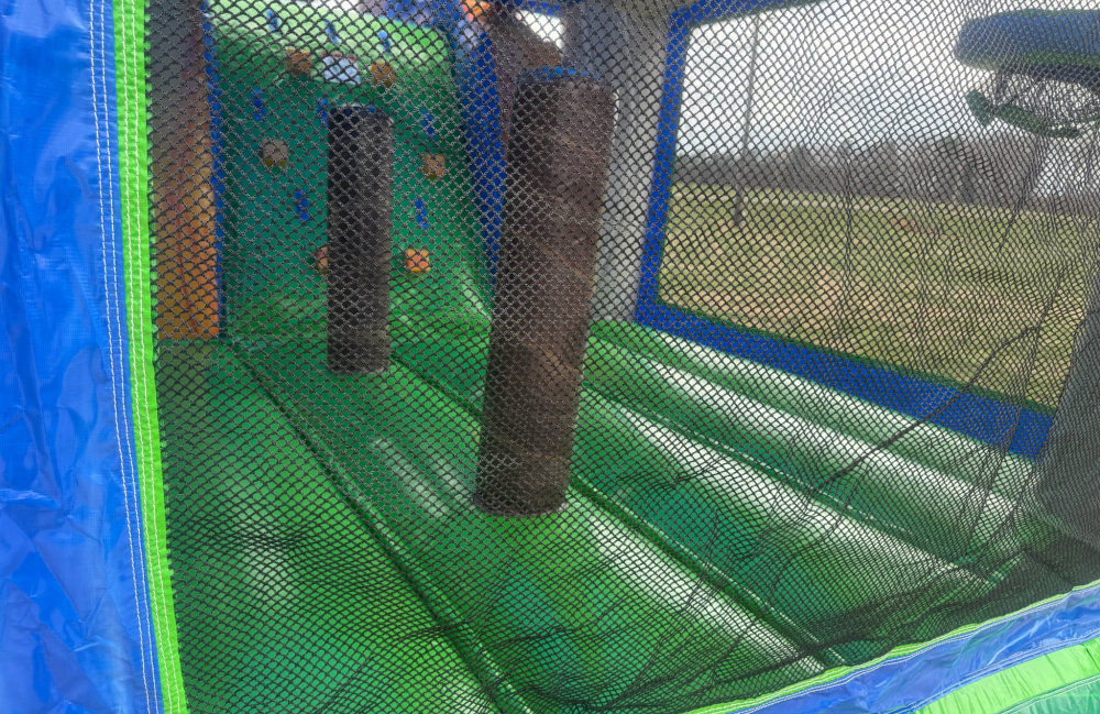 Image 6 of Dinosaur Combo