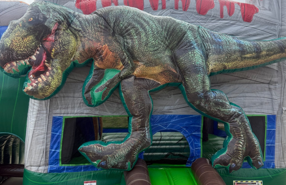 Image 7 of Dinosaur Combo