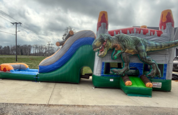 Image 9 of Dinosaur Combo