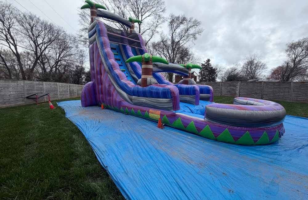 Image 2 of 22ft Purple Lagoon Slide