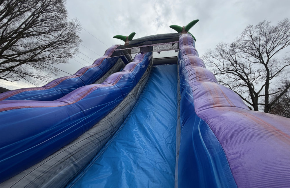 Image 6 of 22ft Purple Lagoon Slide