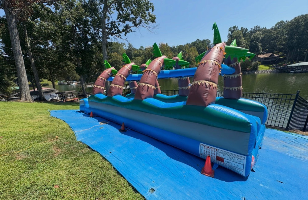 Image 1 of 30ft Dual Lane Tropical Slip N Dip